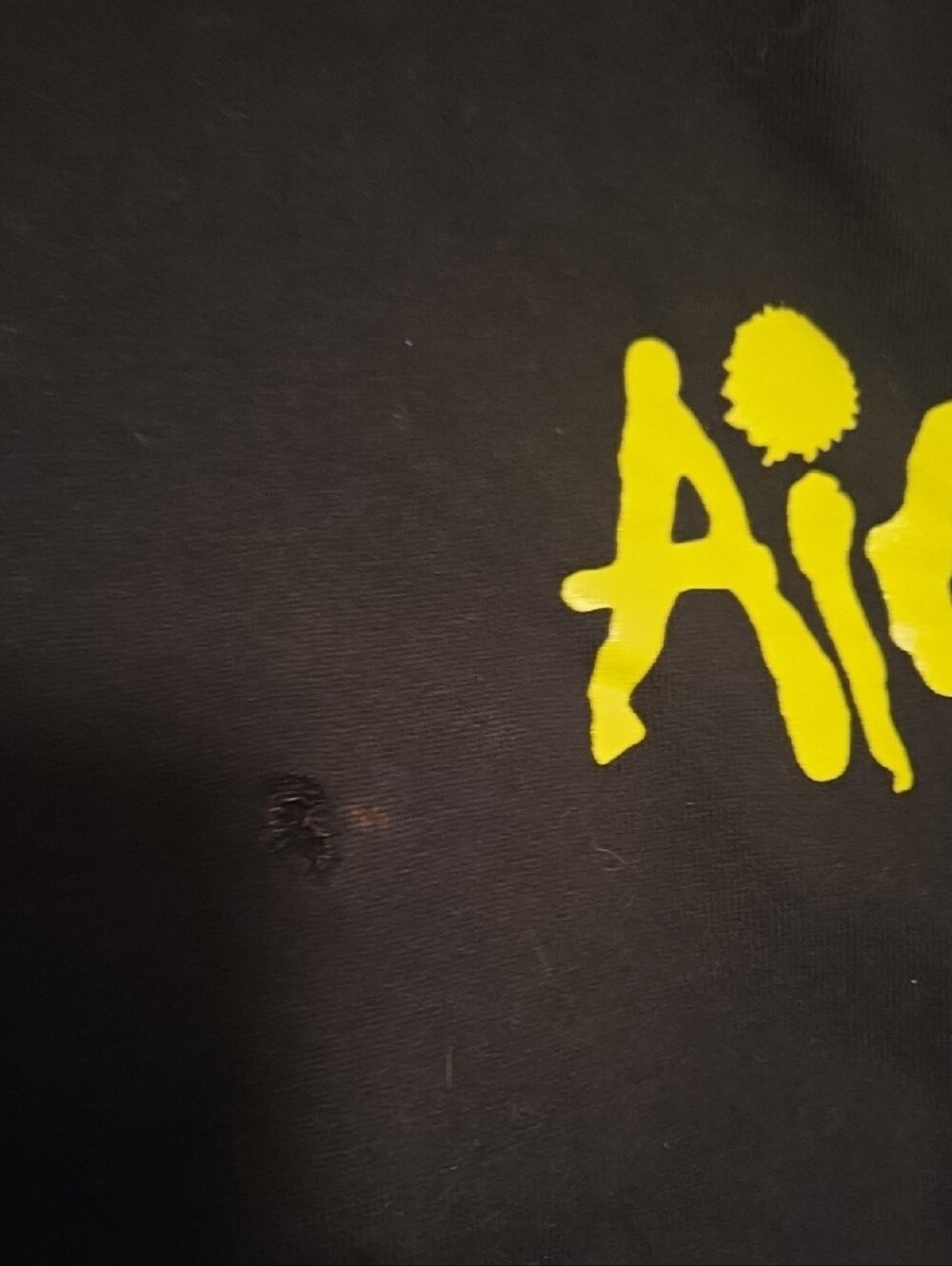 Alice In Chains Hoodie Damaged